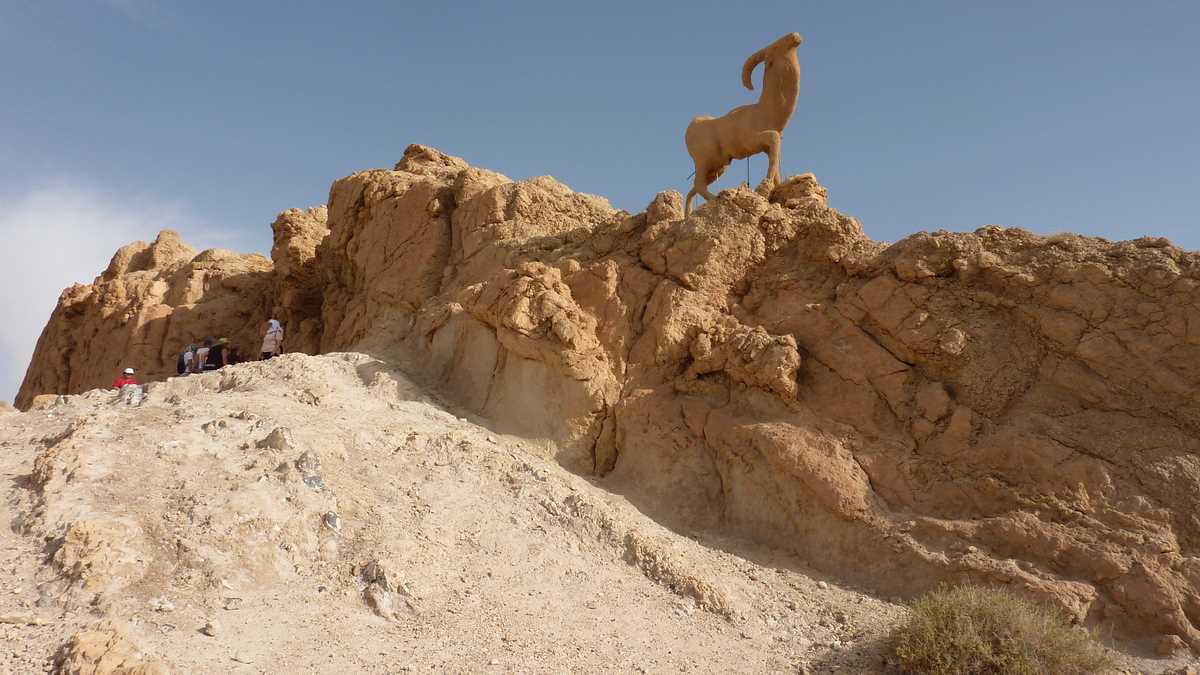 Oaza Chebika, Tunisia. FOTO: Grig Bute, Ora de Turism
