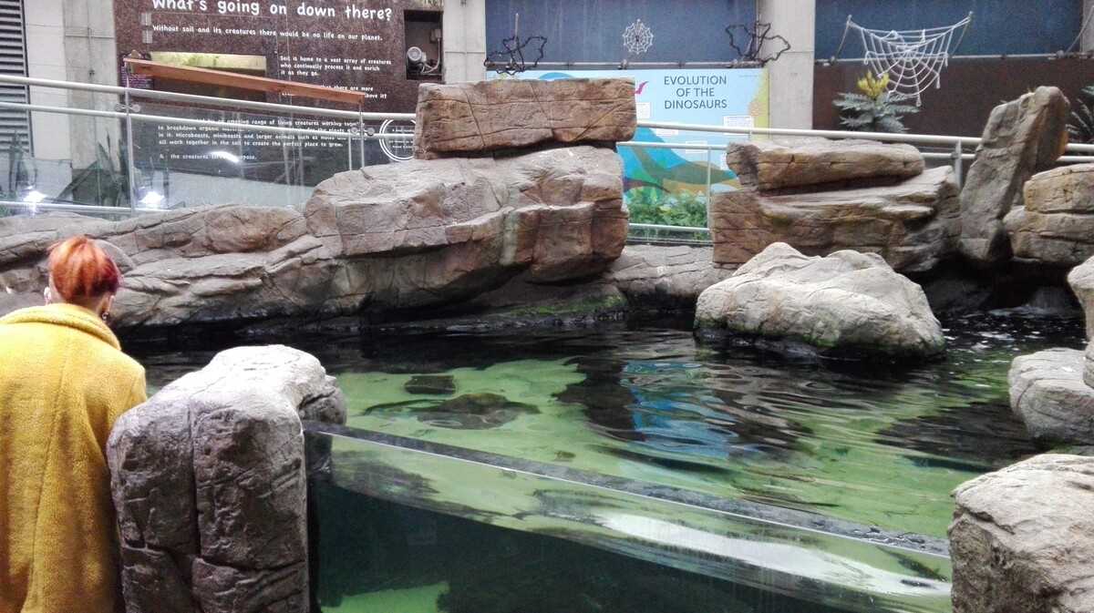 Aquarium, Bristol. FOTO: Grig Bute, Ora de Turism