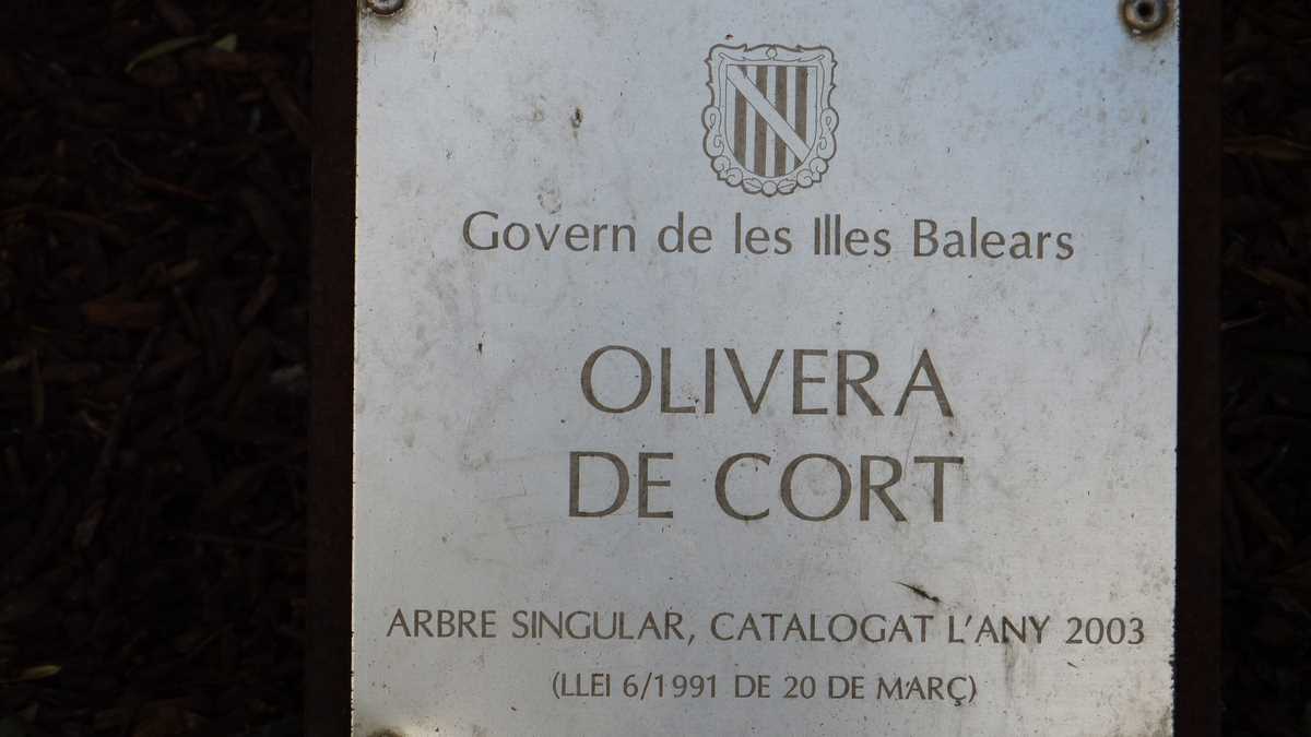 Cort, Palma de Mallorca. FOTO: Grig Bute, Ora de Turism