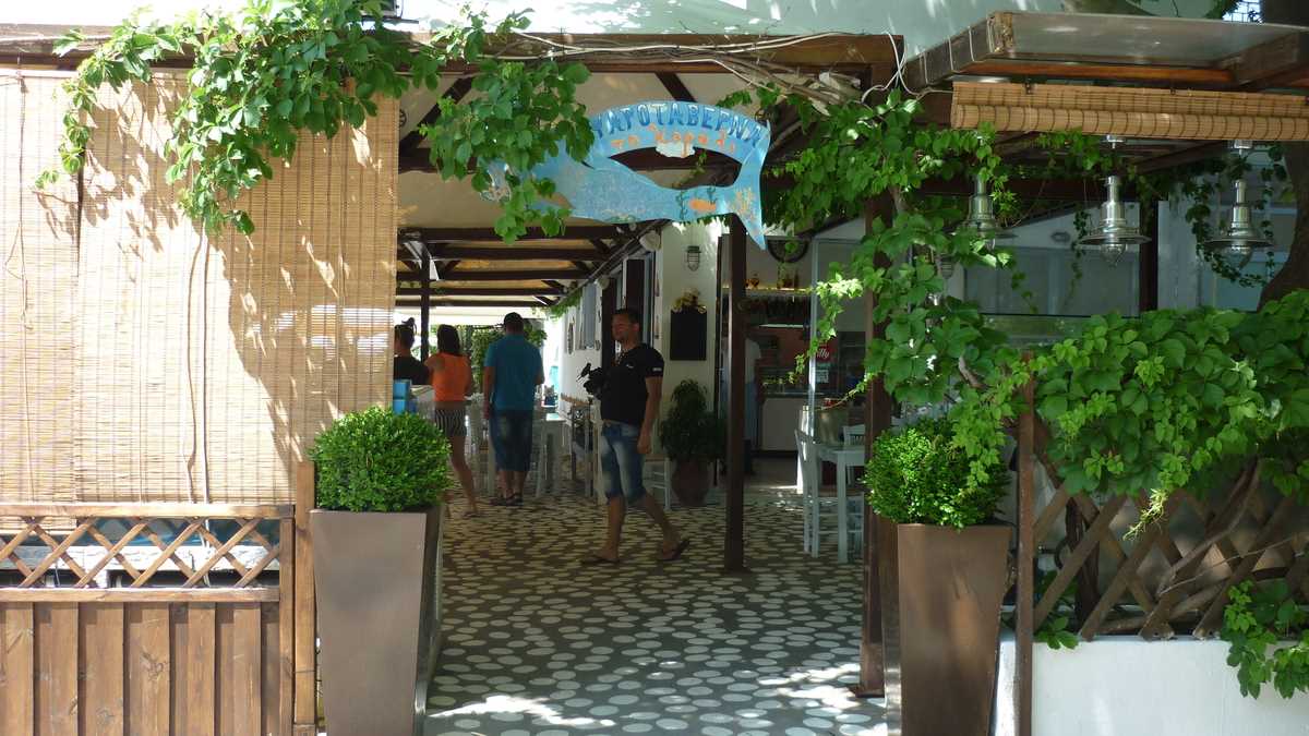 Terasa Korali, Agnontas, Skopelos, Grecia. FOTO: Grig Bute, Ora de Turism