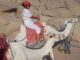 Cămile în deșert, Egipt. FOTO: Grig Bute, Ora de Turism