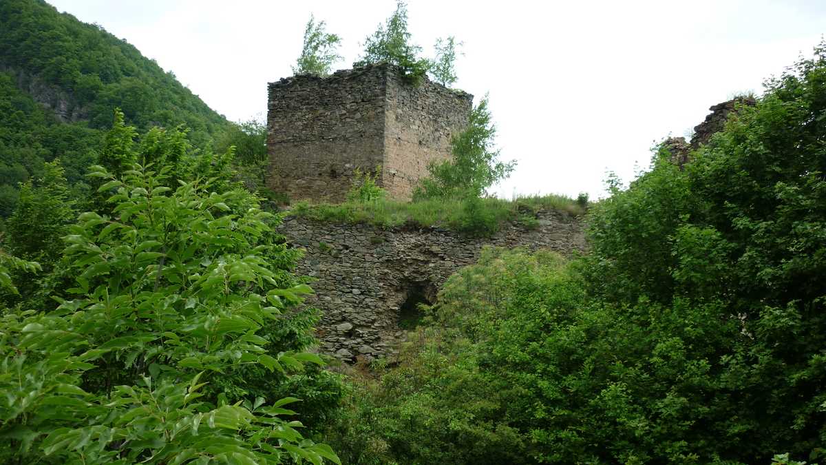 Cetatea Colț, Nucșoara, jud. Hunedoara. FOTO: Grig Bute, Ora de Turism