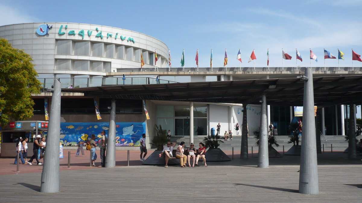 Aquarium, Barcelona, Spania. FOTO: Grig Bute, Ora de Turism