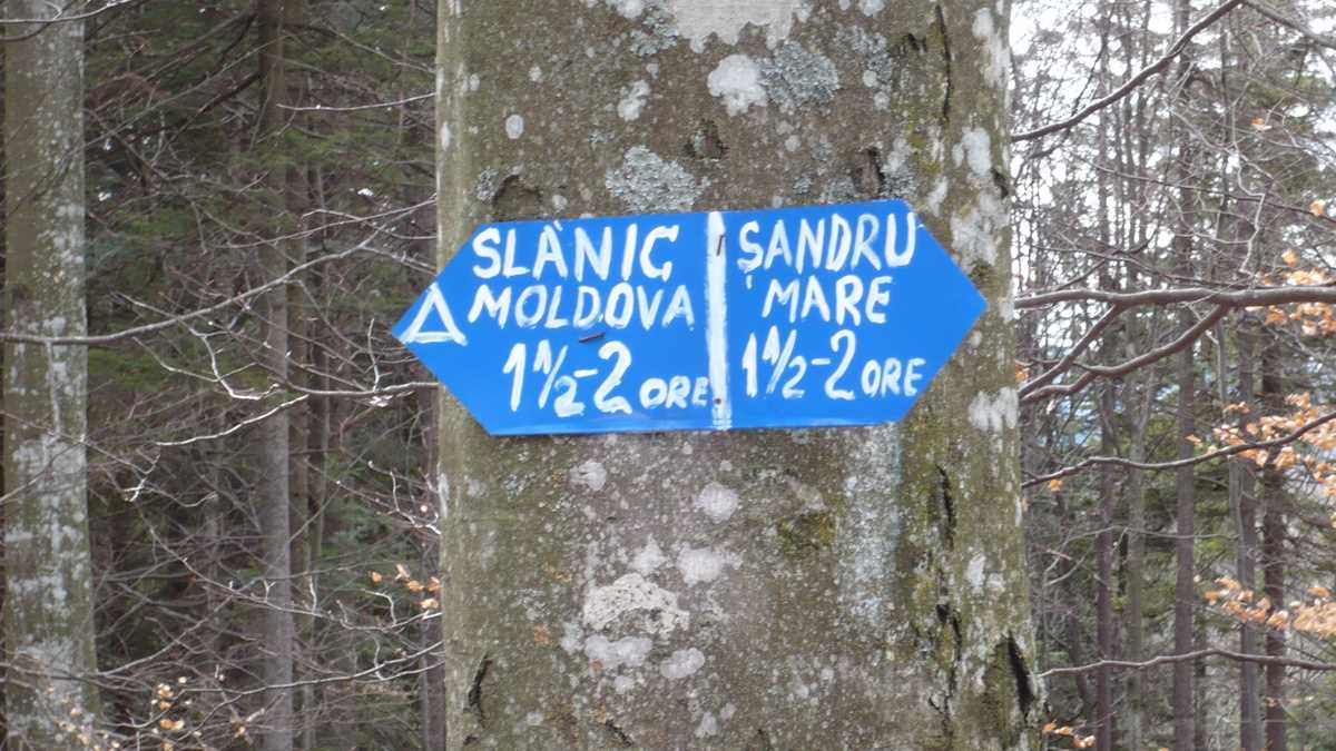 Masivul Șandru-Nemira, Carpații Orientali. FOTO: Grig Bute, Ora de Turism