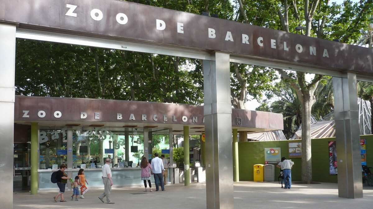 Zoo, Barcelona, Spania. FOTO: Grig Bute, Ora de Turism
