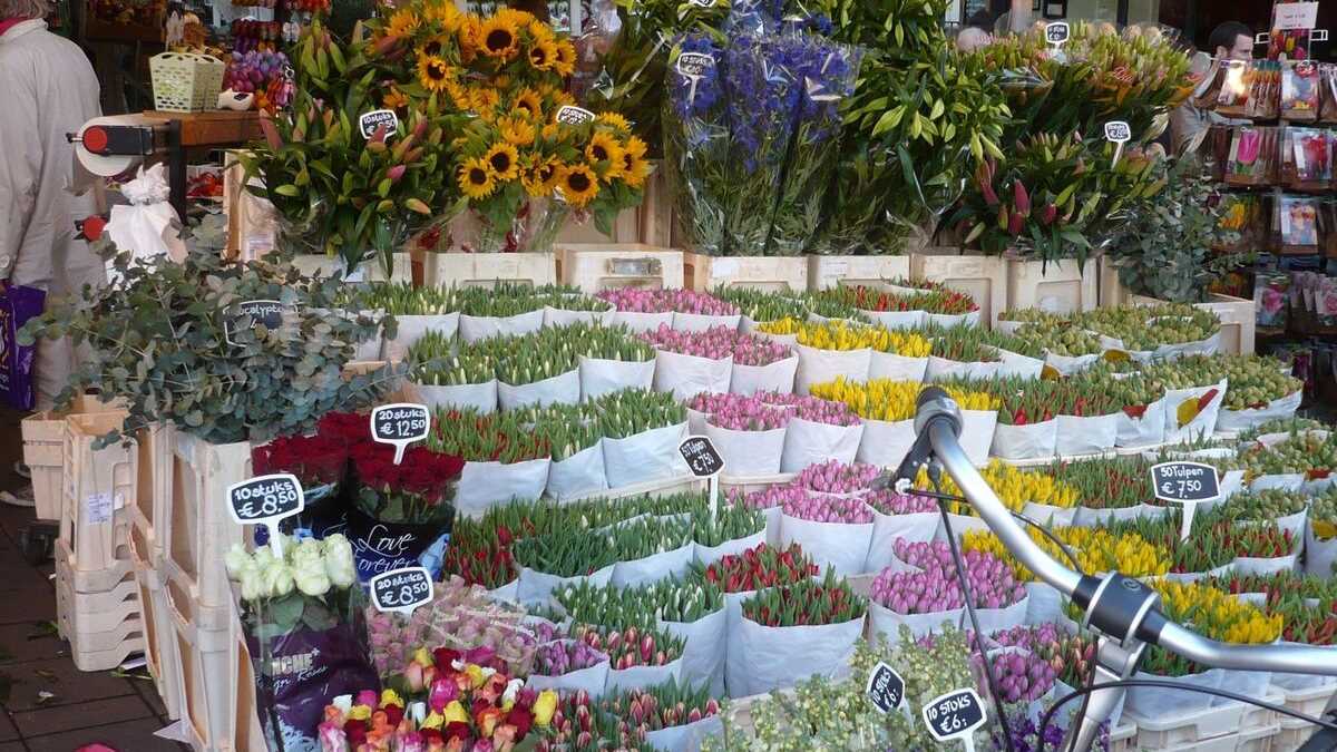 Piața de flori, Amsterdam, Olanda. FOTO: Grig Bute, Ora de Turism
