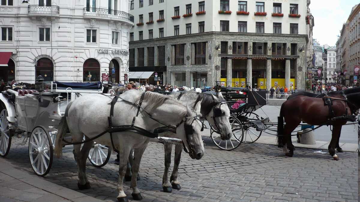 Trăsuri la Hofburg, Viena, Austria. FOTO: Grig Bute, Ora de Turism