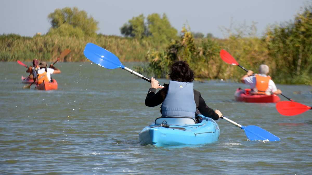 Cu caiacul în Delta Dunării. FOTO: BIBI Touroperator