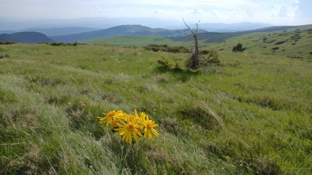 Masivul Stara Planina, Serbia. FOTO: Grig Bute, Ora de Turism