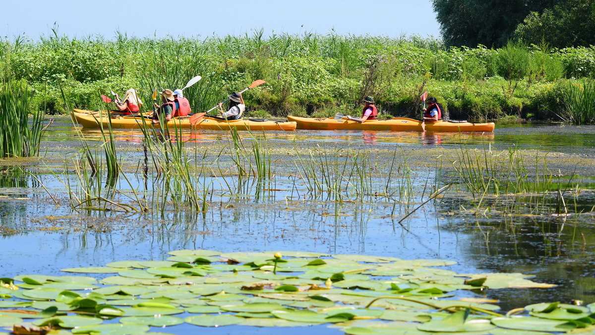 Delta Dunării. FOTO: BIBI Touroperator