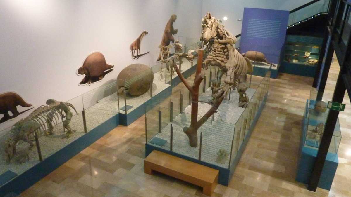 Museo de Ciencias Naturales, Valencia, Spania. FOTO: Grig Bute, Ora de Turism