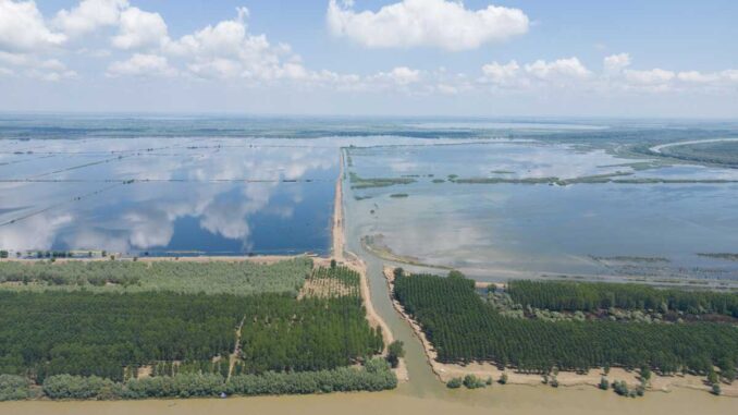 Delta Dunării. FOTO: Marius Vasile, WWF-România