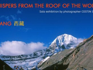 Afișul expoziției de la Centrul Cultural Chinez, București. FOTO: Costin Irimia