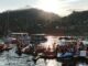 Rapsodie pe lac, Colibița, județul Bistrița-Năsăud. FOTO: Asociația Garantat Colibița