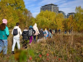 Parcul Natural Văcărești, București. FOTO: Administrația Parcului Natural Văcărești