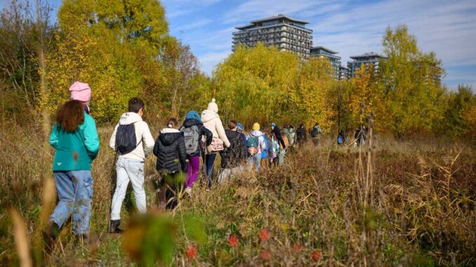 Parcul Natural Văcărești, București. FOTO: Administrația Parcului Natural Văcărești