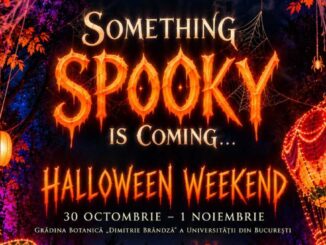 Lumina Park Halloween. FOTO: Lumina Park